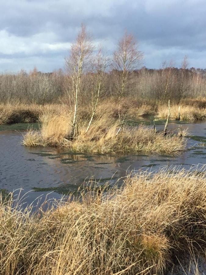 Ferienhaus Kranich-holzferienhaus 'kleine Auszeit' Rehden