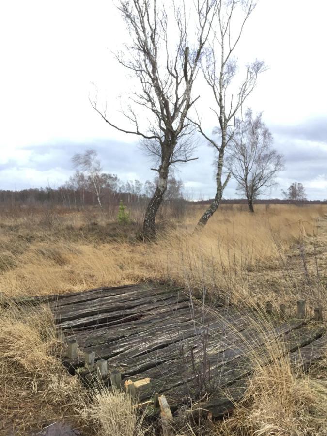 Kranich-holzferienhaus 'kleine Auszeit'