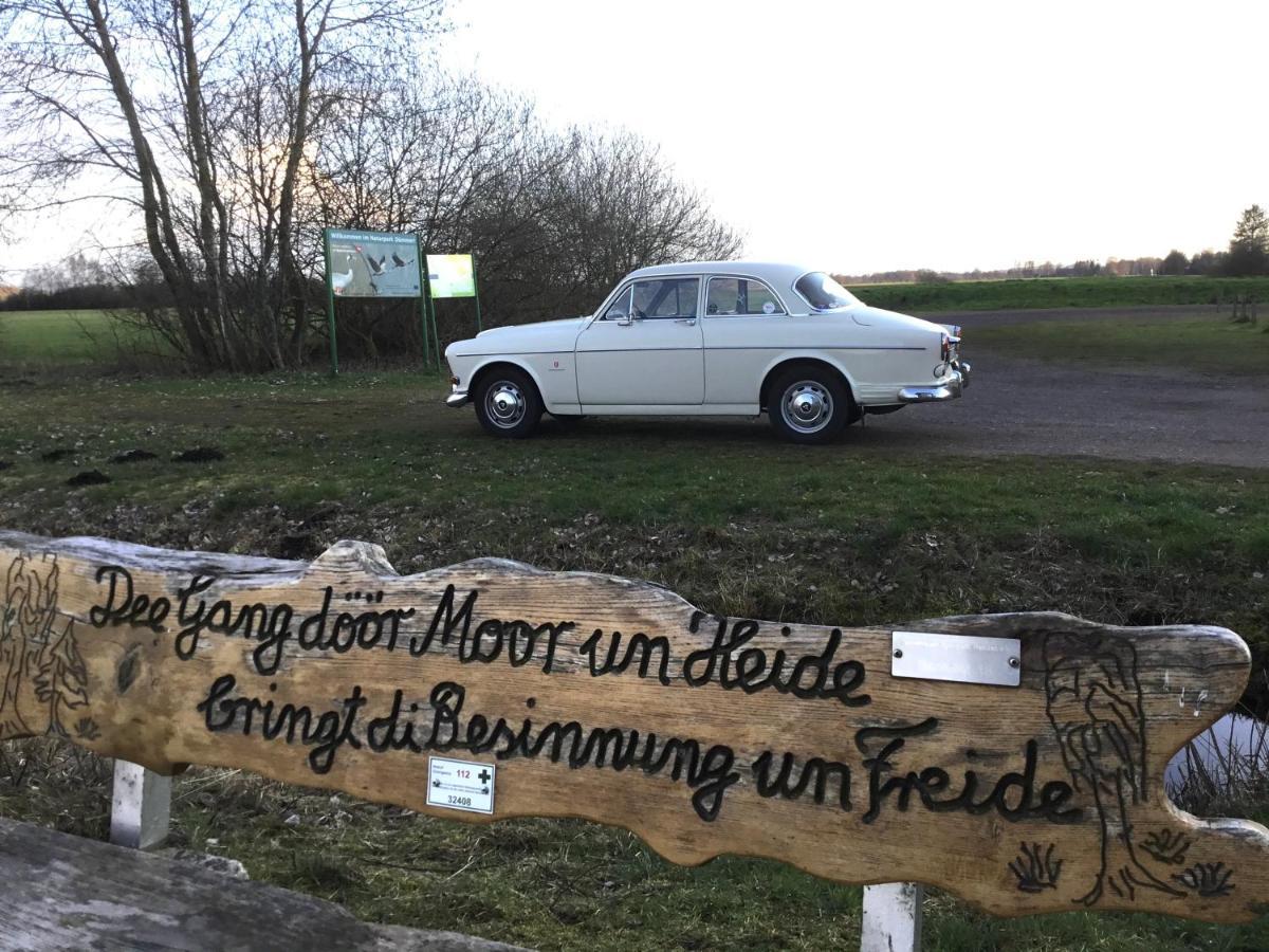 Kranich-holzferienhaus 'kleine Auszeit' Ferienhaus Rehden